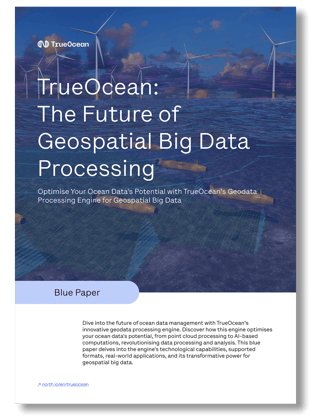TrueOcean_Bluepaper_3D_Cover_Big-Data_2024-high-res