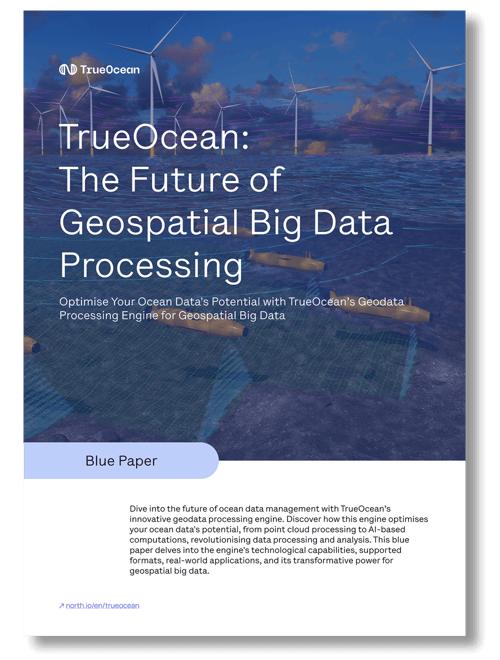 TrueOcean_Bluepaper_3D_Cover_Big-Data_2024-high-res
