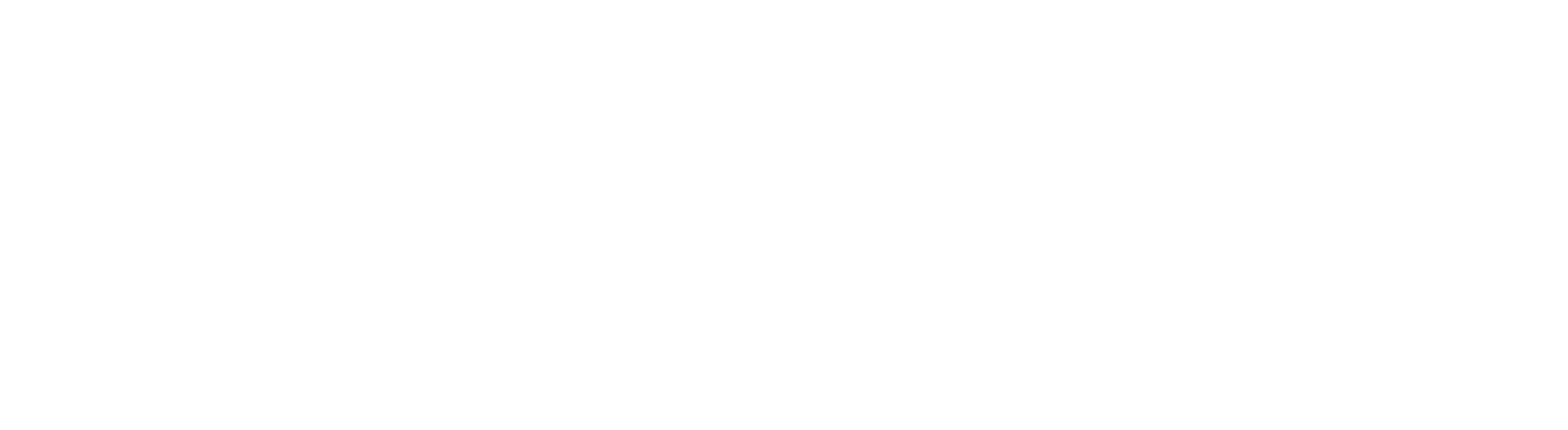North.io_Logo_North_White